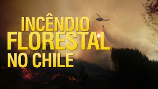 Incêndio florestal no Chile (1ª Parte)